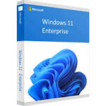 Windows 11 Enterprise License Key
