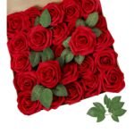 Boutons de fleurs rouges